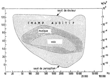 Champ auditif