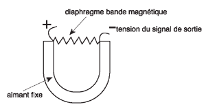 Principe du microphone à ruban