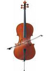Violoncelle