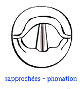 Phonation