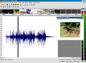 Snapshot des fonctions video de Sound Forge