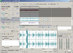 Acid Pro 5