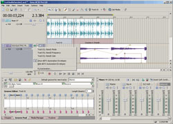 Acid Pro 5